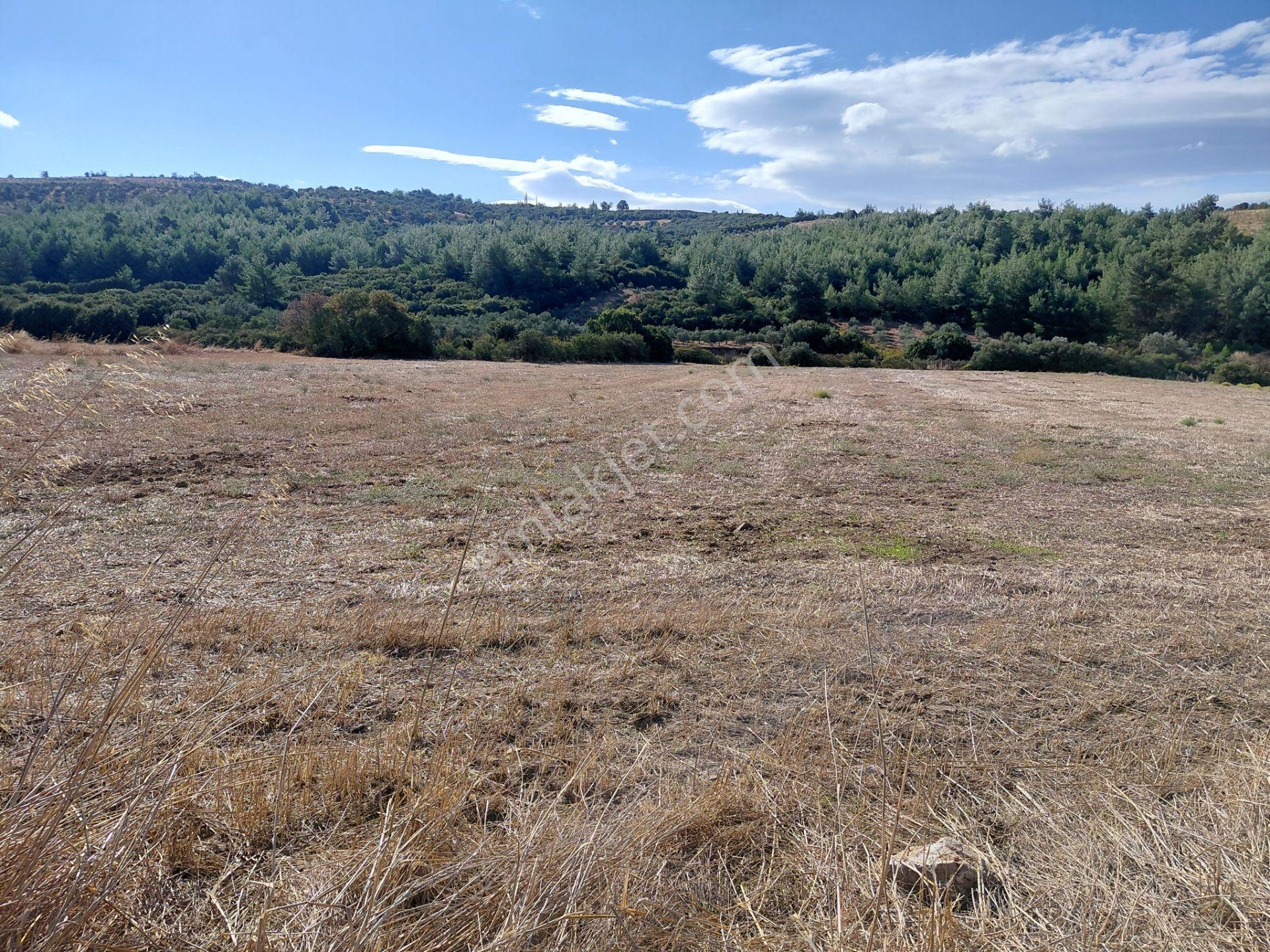 Akisar 5.km Mesafede Tarım Ve Hayvancılığa Uygun 27.500 M2 Boş Tarla 8.500.000 Tl — fotoğraf 14