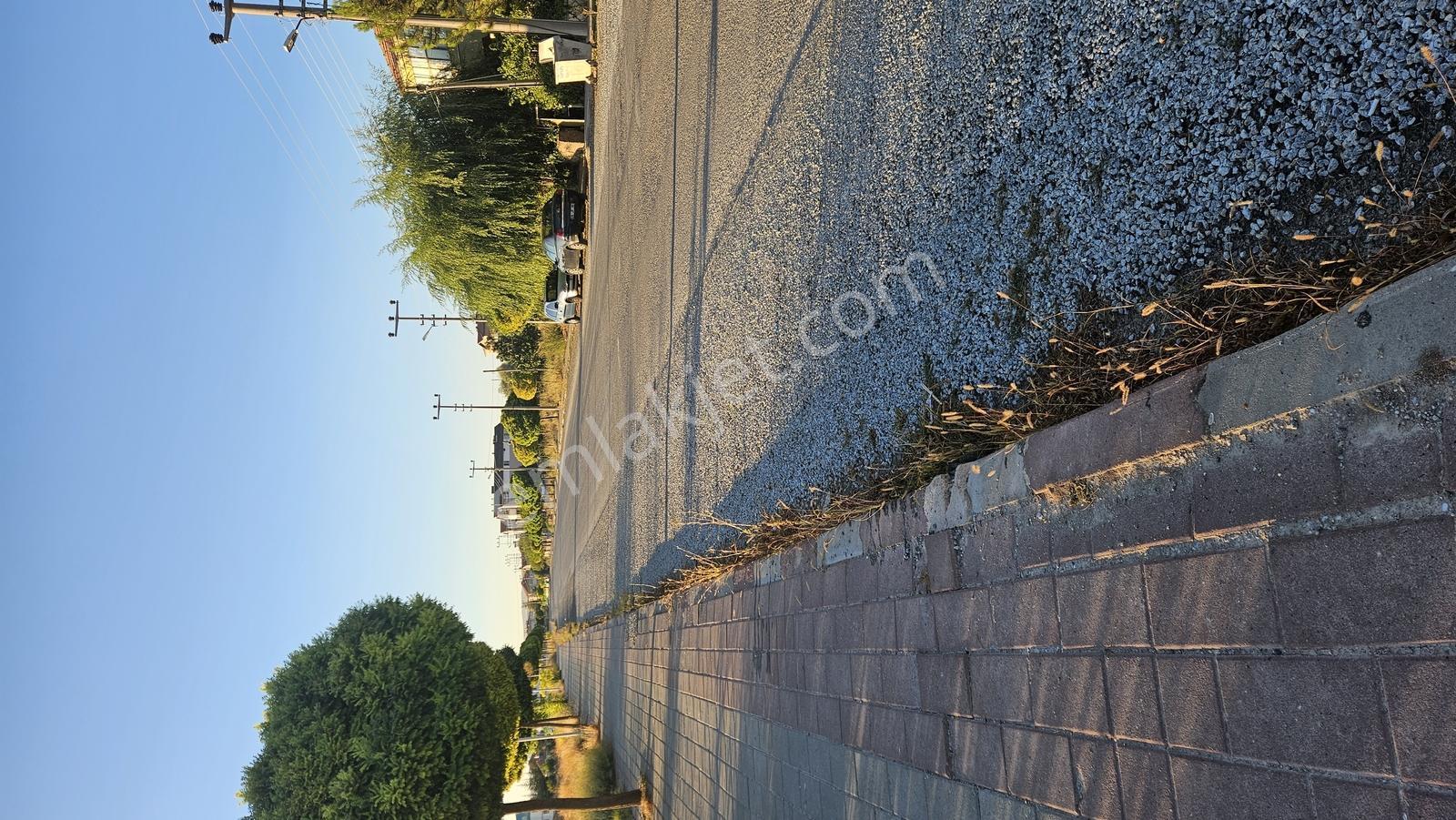 Pazartesine Kadar Fiyatımız — fotoğraf 4