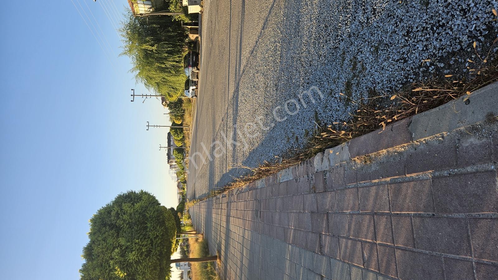 Pazartesine Kadar Fiyatımız — fotoğraf 6