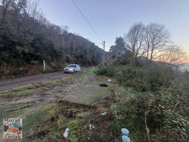 Kdz Ereğli Balı Mah. Deniz Manzaralı 4000m² Satılık Tarla — fotoğraf 2