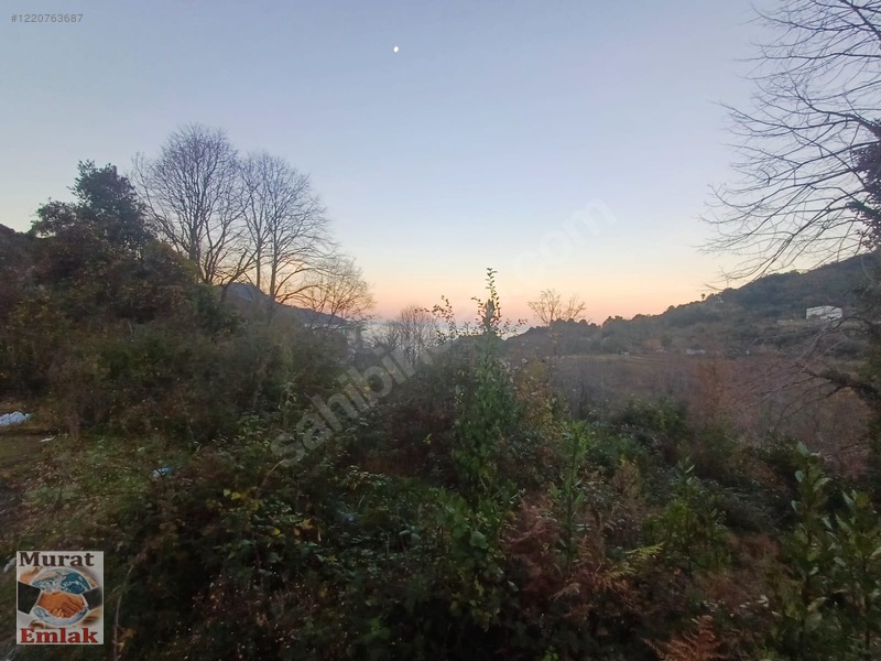 Kdz Ereğli Balı Mah. Deniz Manzaralı 4000m² Satılık Tarla — fotoğraf 3