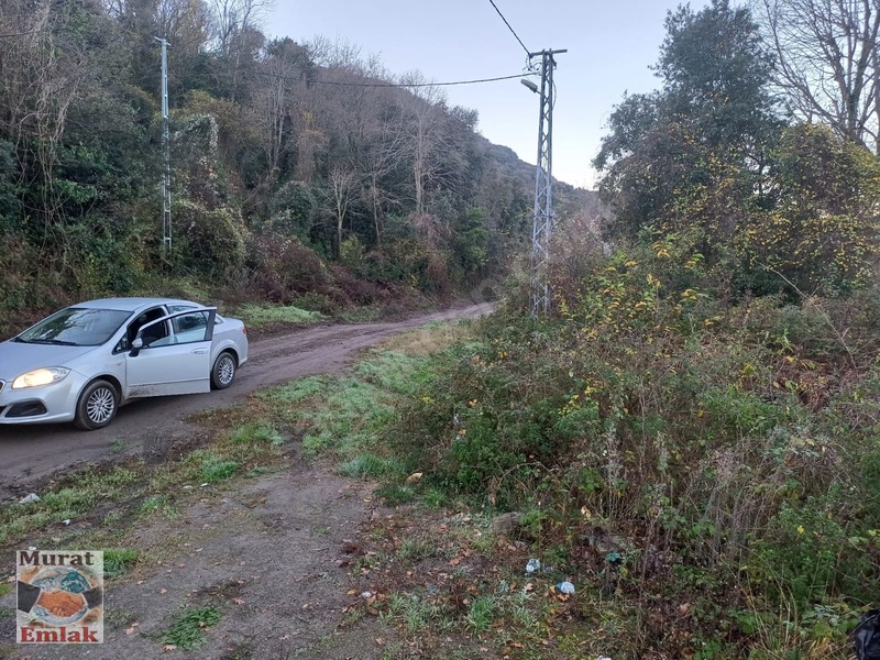 Kdz Ereğli Balı Mah. Deniz Manzaralı 4000m² Satılık Tarla — fotoğraf 4