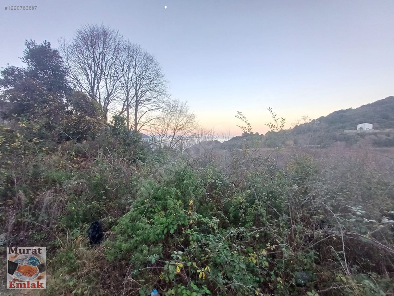 Kdz Ereğli Balı Mah. Deniz Manzaralı 4000m² Satılık Tarla — fotoğraf 5