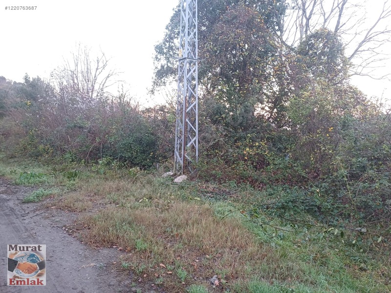 Kdz Ereğli Balı Mah. Deniz Manzaralı 4000m² Satılık Tarla — fotoğraf 7