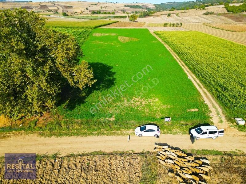 İnegöl Şipalide Çift Kadastro Yolu Cepheli Fırsat Arazi — fotoğraf 5
