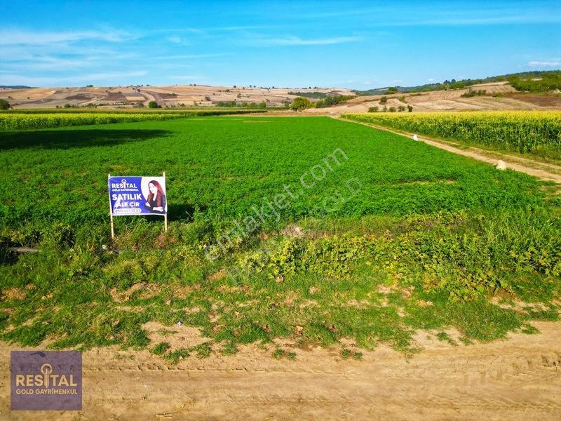 İnegöl Şipalide Çift Kadastro Yolu Cepheli Fırsat Arazi — fotoğraf 16