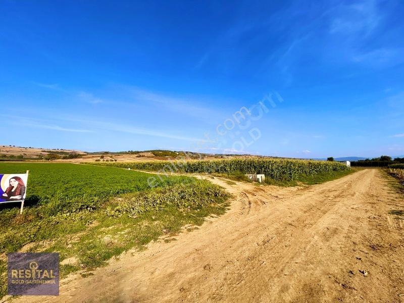 İnegöl Şipalide Çift Kadastro Yolu Cepheli Fırsat Arazi — fotoğraf 18
