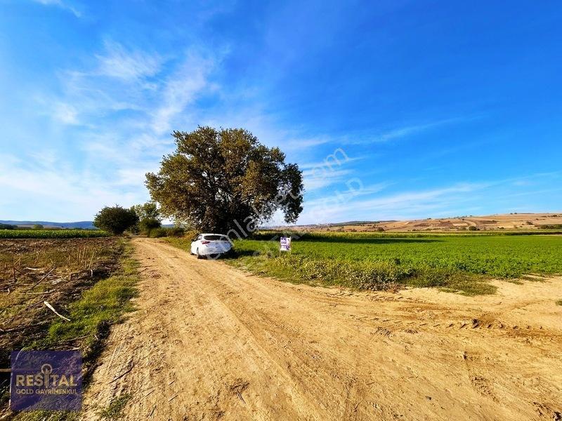 İnegöl Şipalide Çift Kadastro Yolu Cepheli Fırsat Arazi — fotoğraf 22