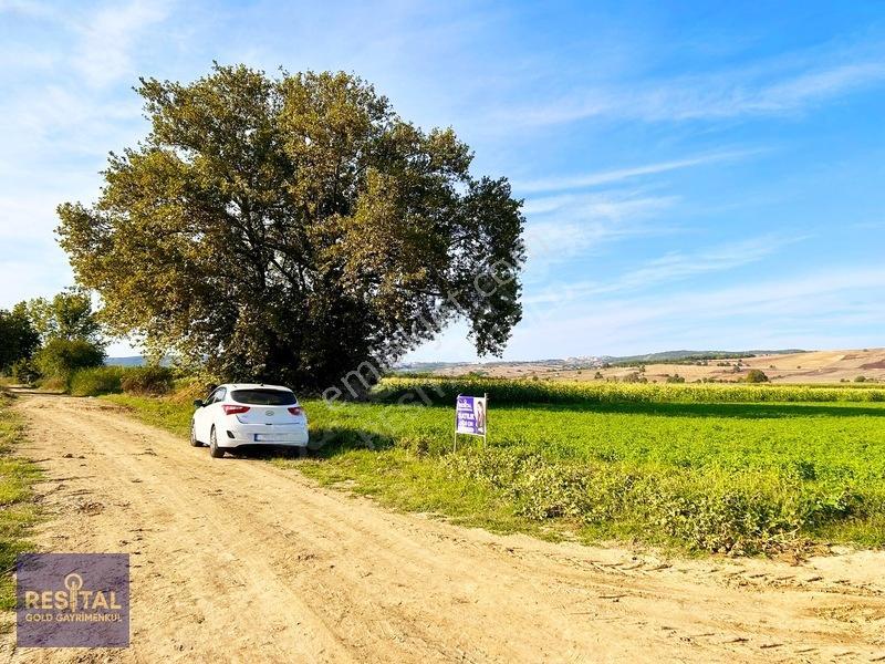 İnegöl Şipalide Çift Kadastro Yolu Cepheli Fırsat Arazi — fotoğraf 23