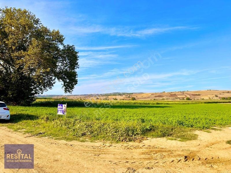 İnegöl Şipalide Çift Kadastro Yolu Cepheli Fırsat Arazi — fotoğraf 24