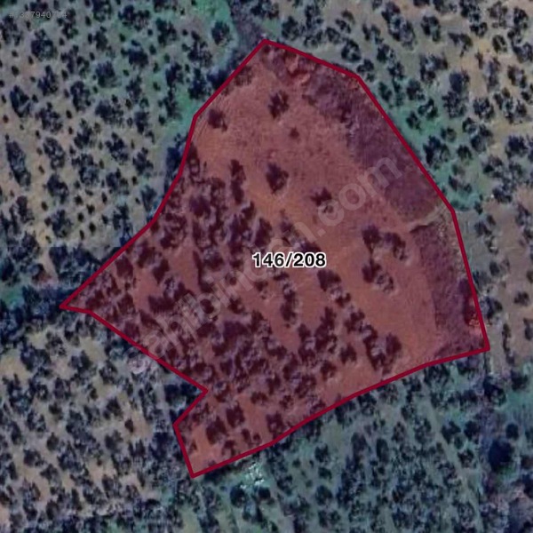 Turyap Edremit Körfez'den Burhaniye'de 11.446 M² Zeytinlik — fotoğraf 17