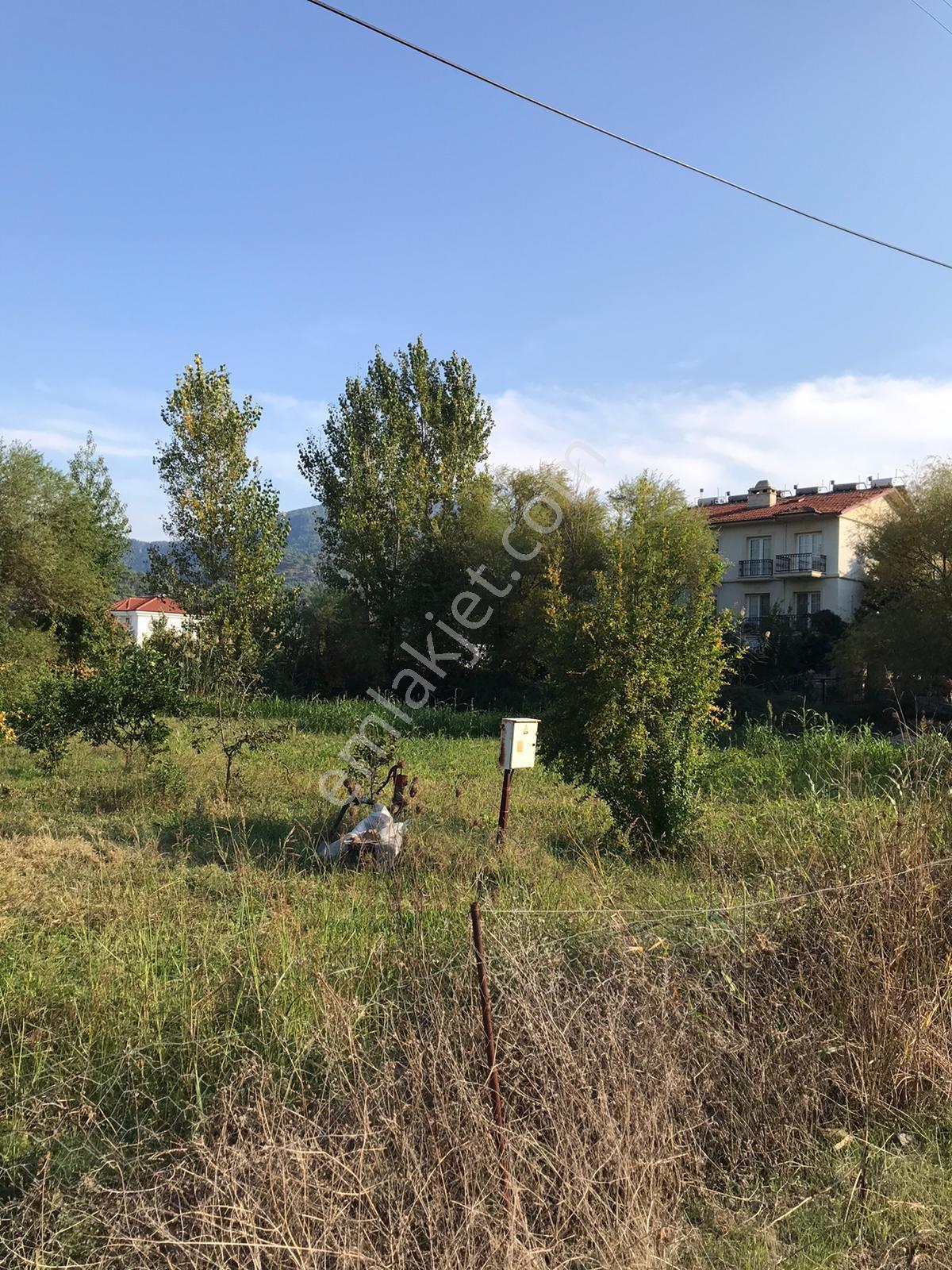 Dalaman Şerefler Mahallesinde 1010 M2 Satılık Arsa — fotoğraf 2
