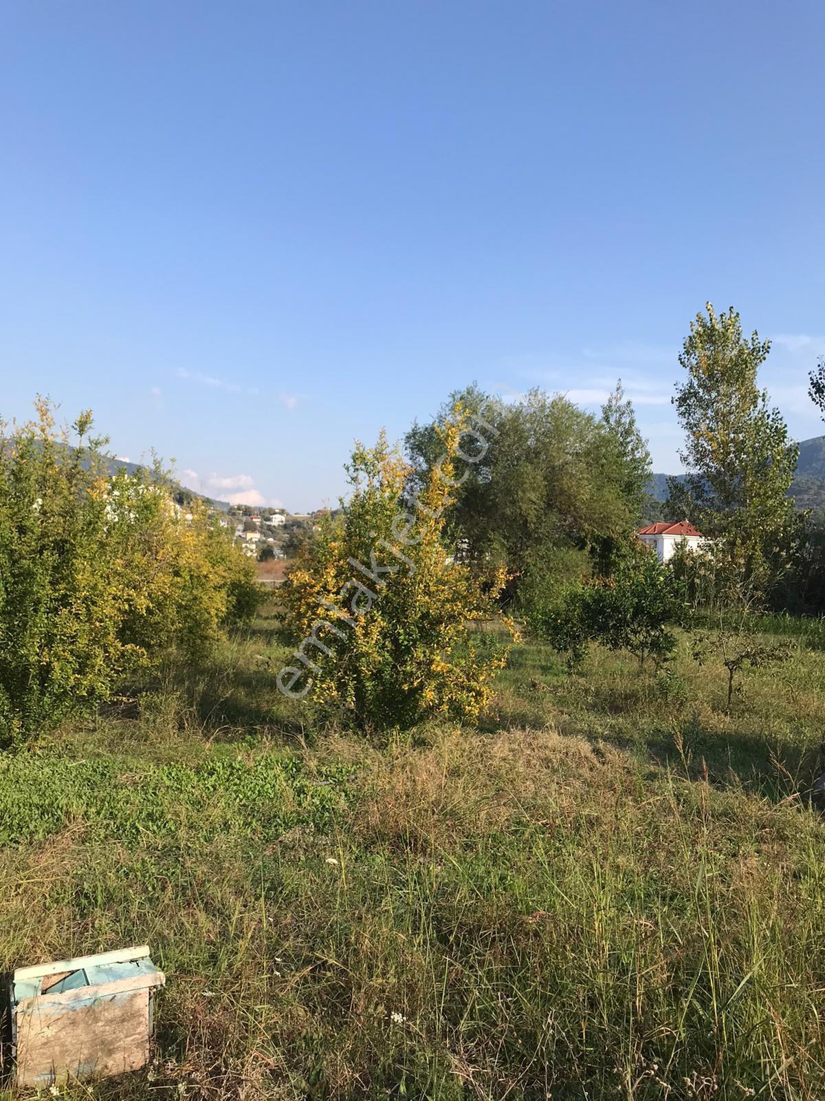 Dalaman Şerefler Mahallesinde 1010 M2 Satılık Arsa — fotoğraf 4