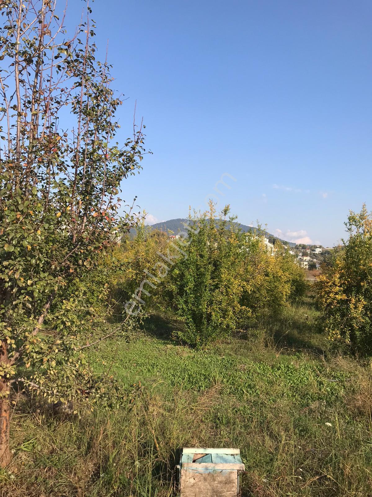 Dalaman Şerefler Mahallesinde 1010 M2 Satılık Arsa — fotoğraf 6