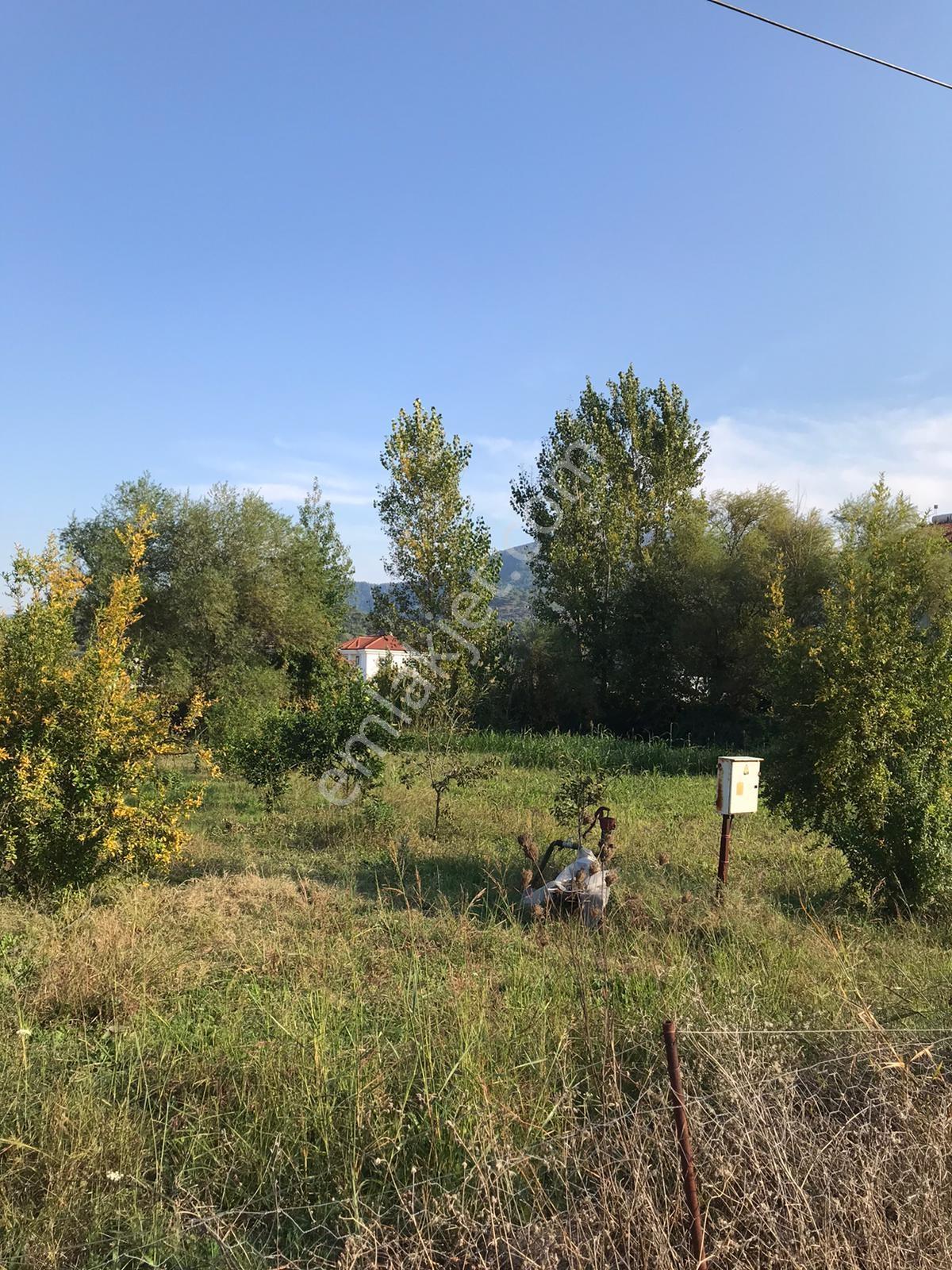 Dalaman Şerefler Mahallesinde 1010 M2 Satılık Arsa — fotoğraf 7