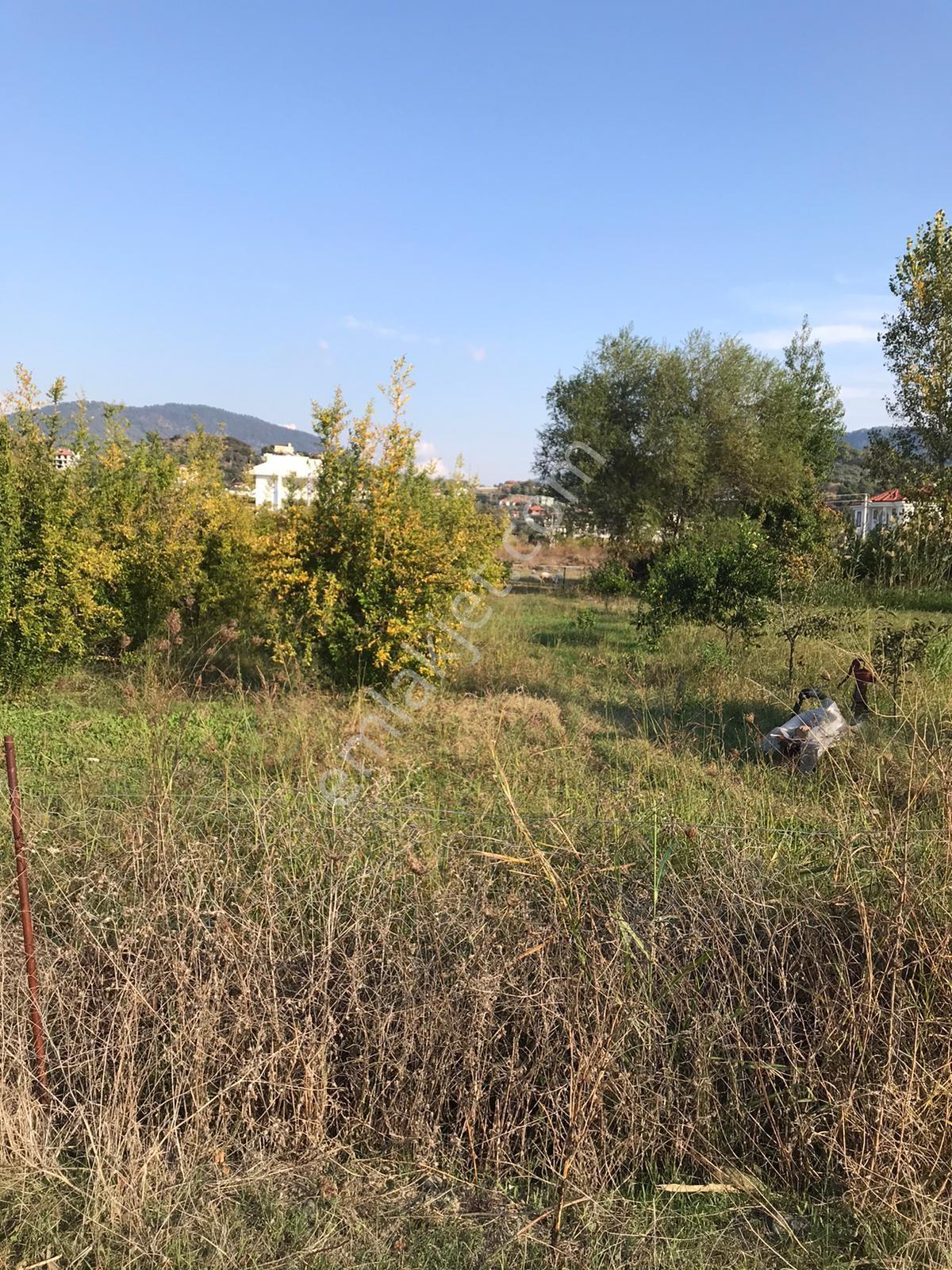 Dalaman Şerefler Mahallesinde 1010 M2 Satılık Arsa — fotoğraf 8