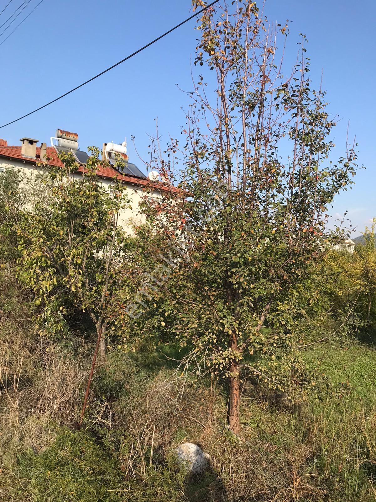 Dalaman Şerefler Mahallesinde 1010 M2 Satılık Arsa — fotoğraf 11
