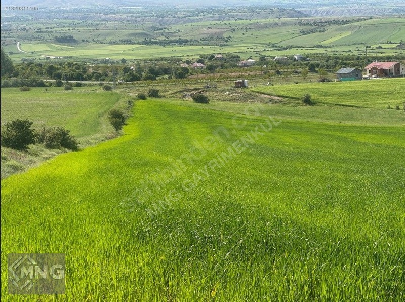 Bağdere ( Ancuz'Da ) Satılık Tarla
