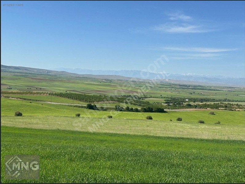 Bağdere ( Ancuz'da ) Satılık Tarla — fotoğraf 2