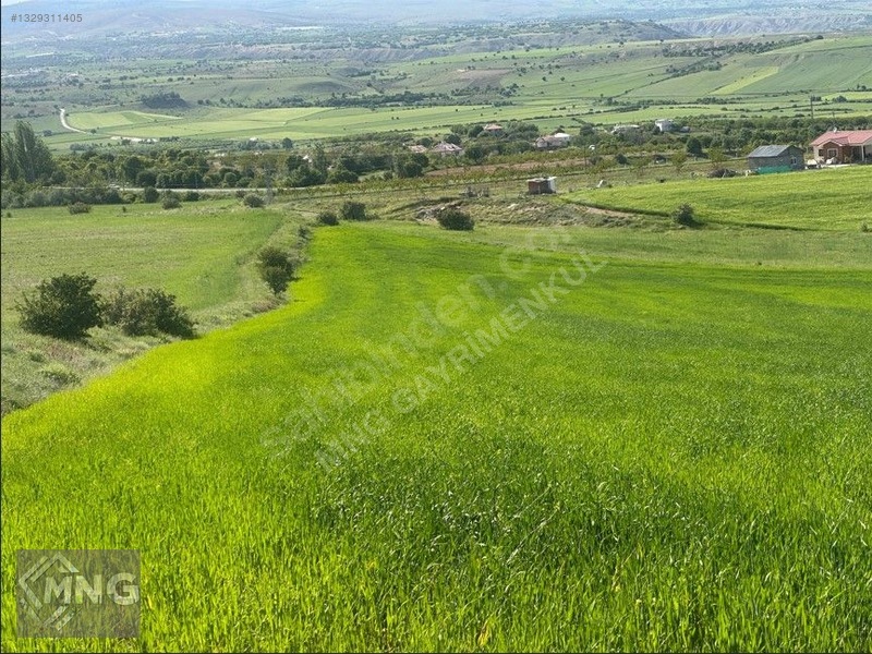 Bağdere ( Ancuz'da ) Satılık Tarla — fotoğraf 3