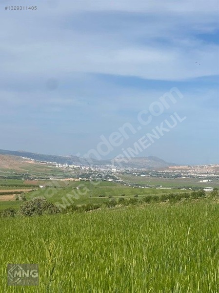 Bağdere ( Ancuz'da ) Satılık Tarla — fotoğraf 4