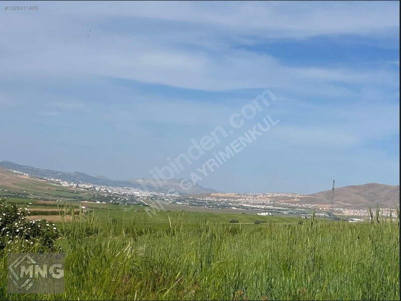 Bağdere ( Ancuz'da ) Satılık Tarla — fotoğraf 5