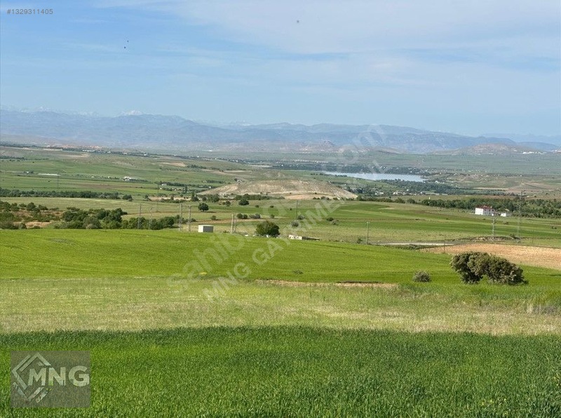 Bağdere ( Ancuz'da ) Satılık Tarla — fotoğraf 8