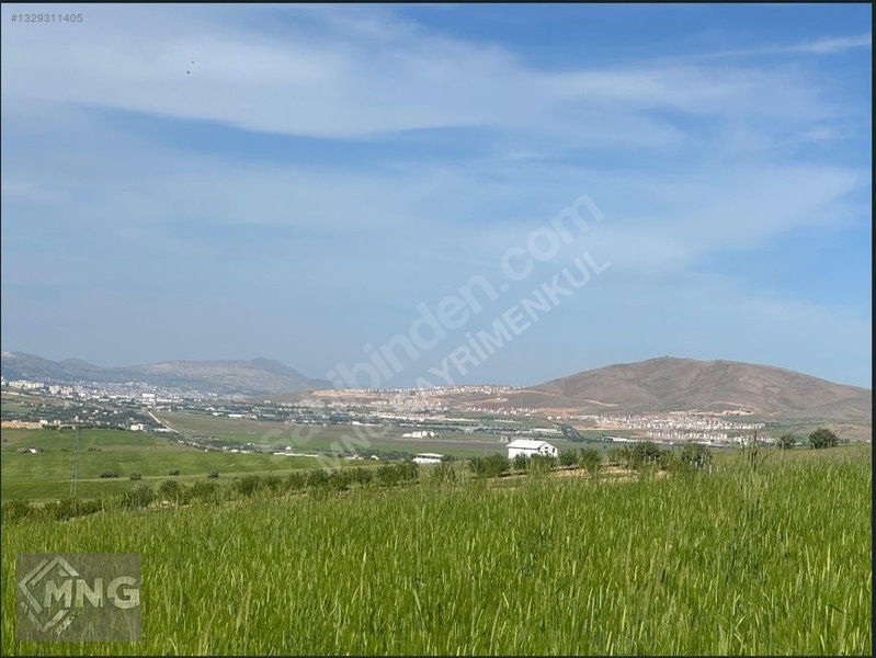 Bağdere ( Ancuz'da ) Satılık Tarla — fotoğraf 11