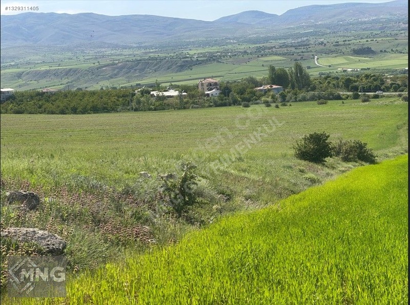 Bağdere ( Ancuz'da ) Satılık Tarla — fotoğraf 13