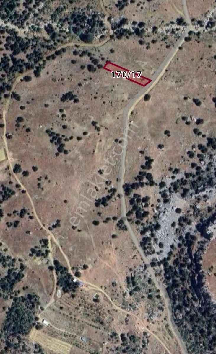 İmamlı Yaylası Yola Cepe — fotoğraf 2