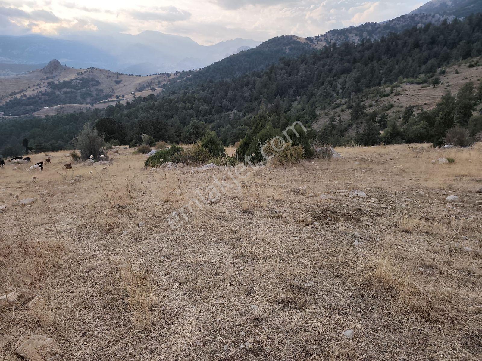 İmamlı Yaylası Yola Cepe — fotoğraf 4