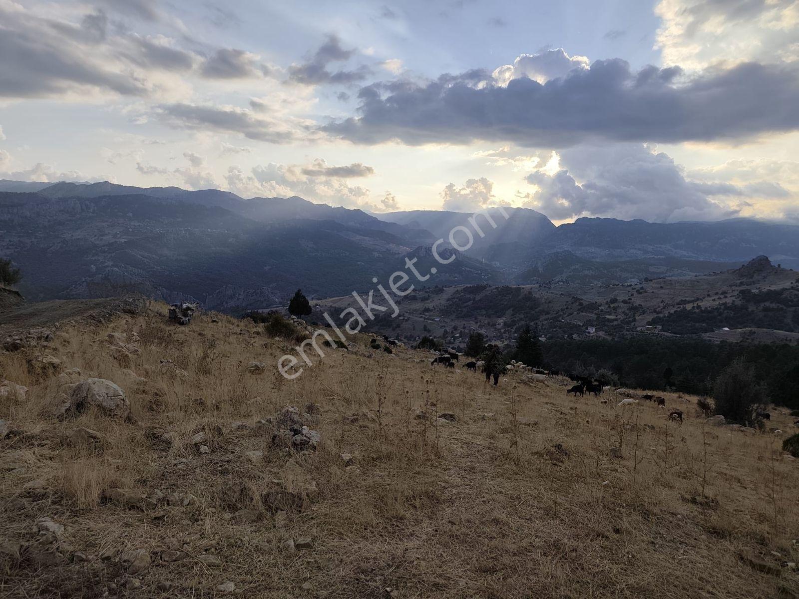 İmamlı Yaylası Yola Cepe — fotoğraf 5