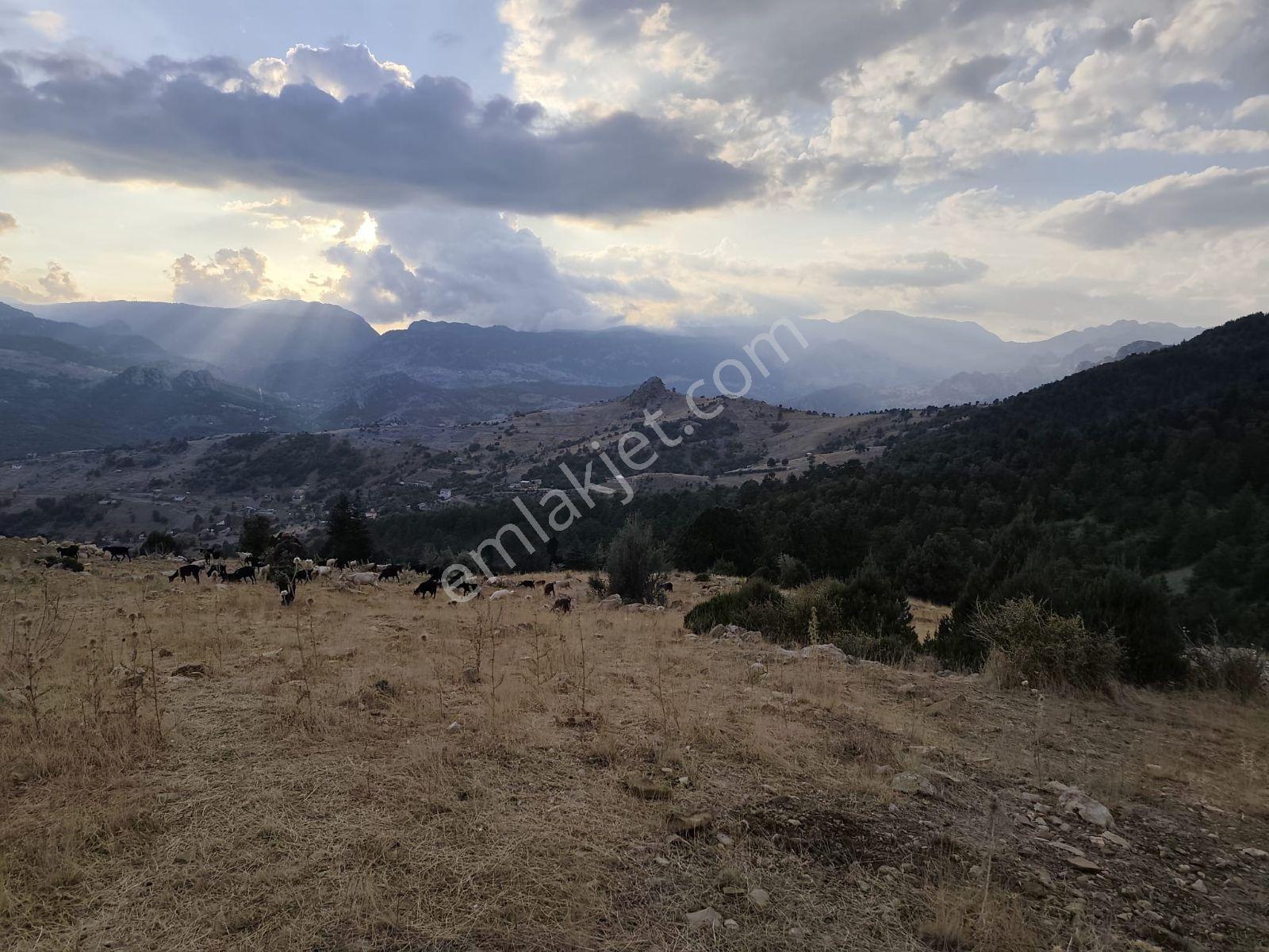 İmamlı Yaylası Yola Cepe — fotoğraf 6
