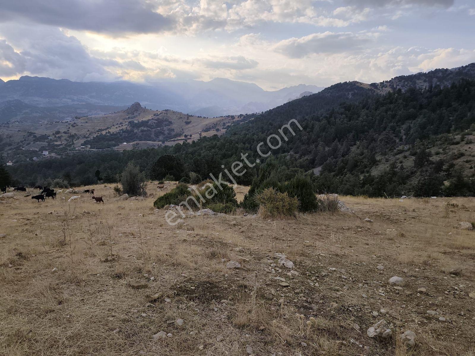 İmamlı Yaylası Yola Cepe — fotoğraf 7