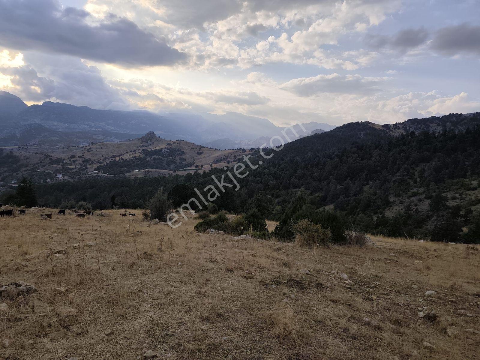 İmamlı Yaylası Yola Cepe — fotoğraf 8