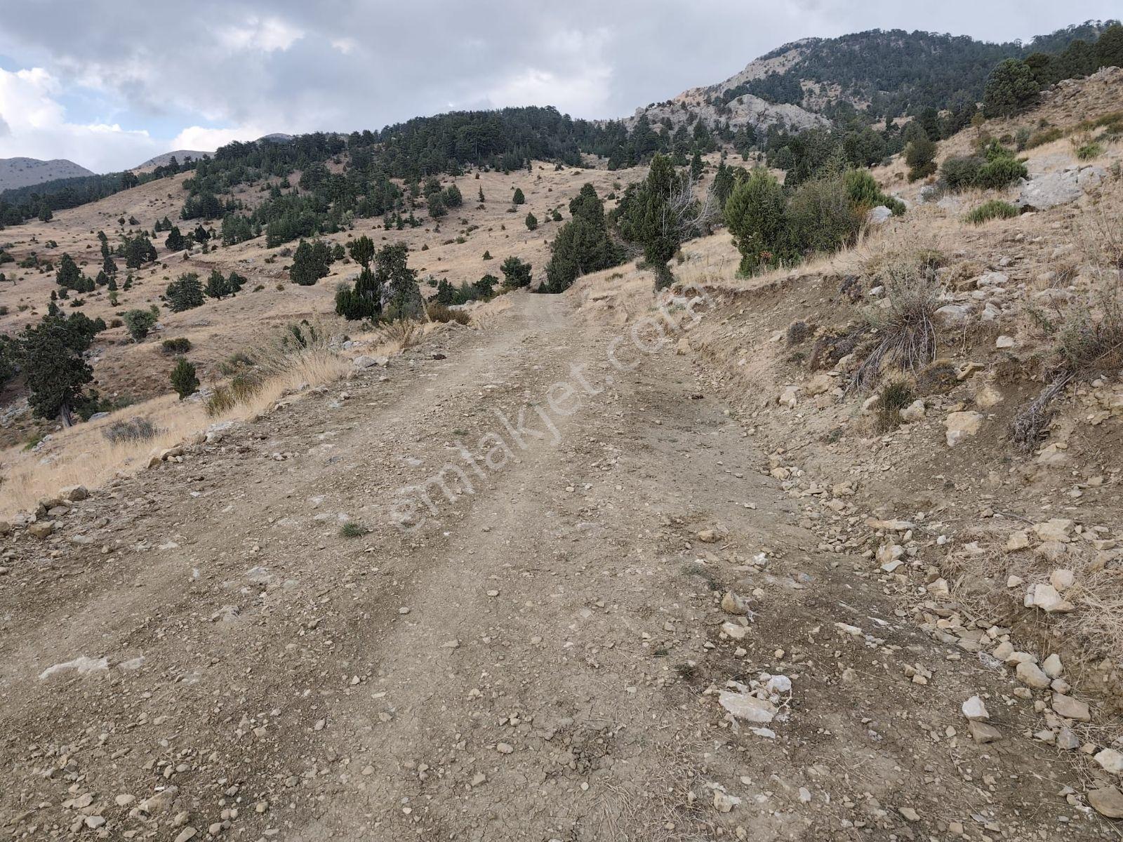 İmamlı Yaylası Yola Cepe — fotoğraf 9