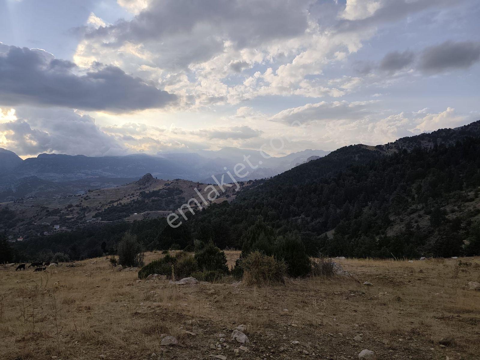İmamlı Yaylası Yola Cepe — fotoğraf 10