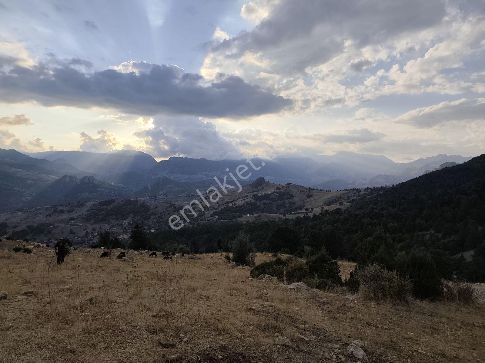İmamlı Yaylası Yola Cepe — fotoğraf 11