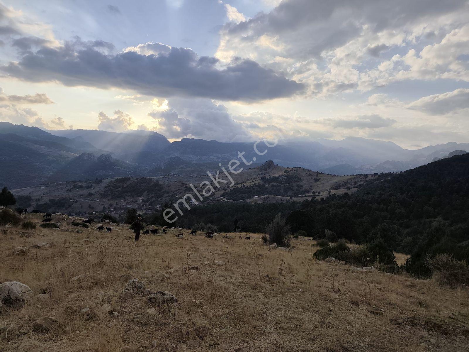 İmamlı Yaylası Yola Cepe — fotoğraf 12