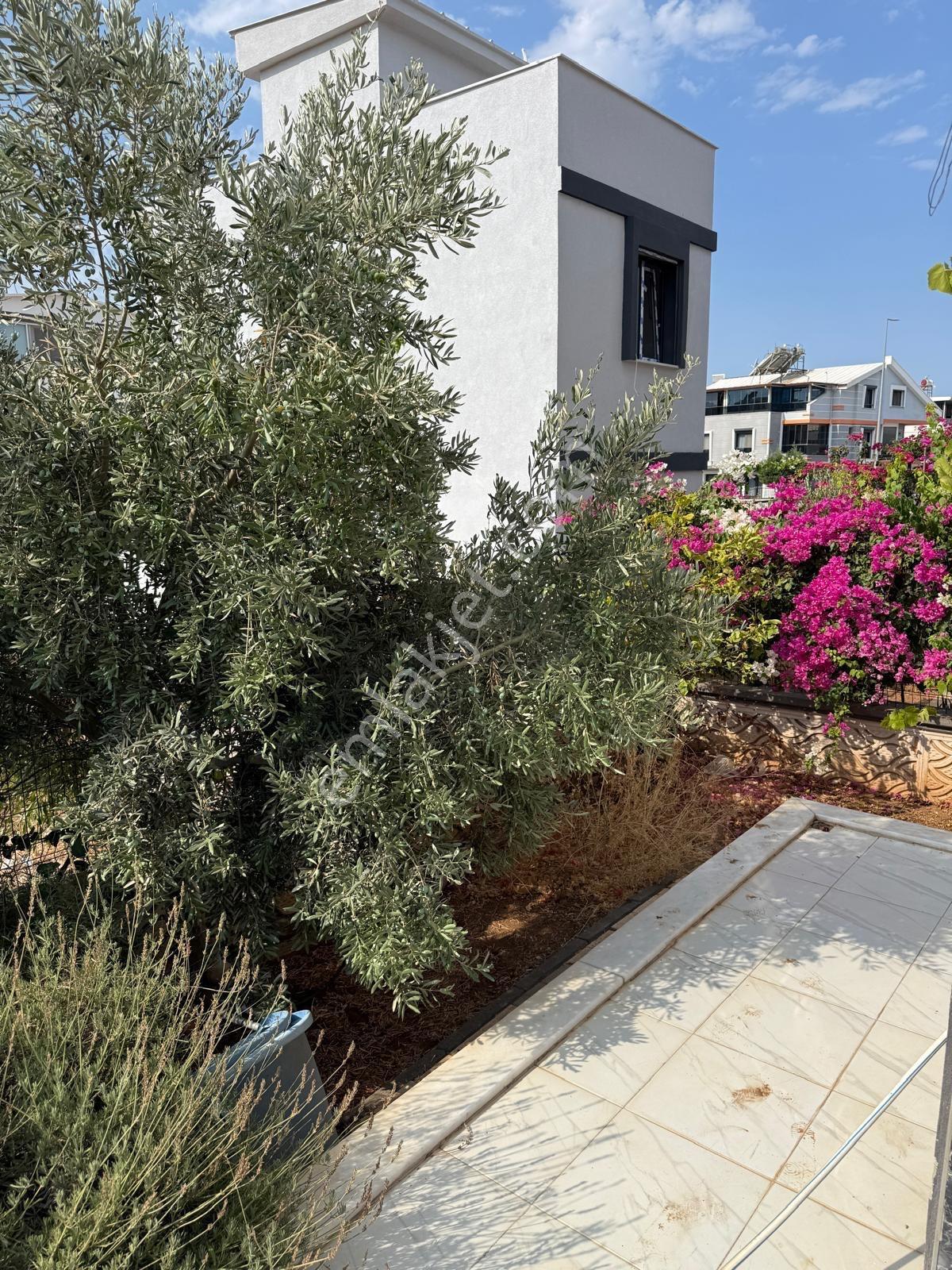 Acil Satılık 3+1 Villa Ayrı Mutfak — fotoğraf 3