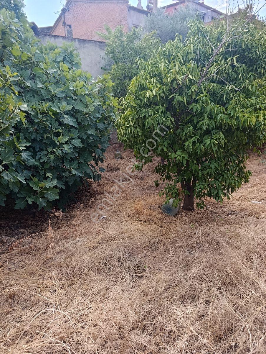 Aydoğdu Mah Yatırıma Uygun 250m Arsa — fotoğraf 3