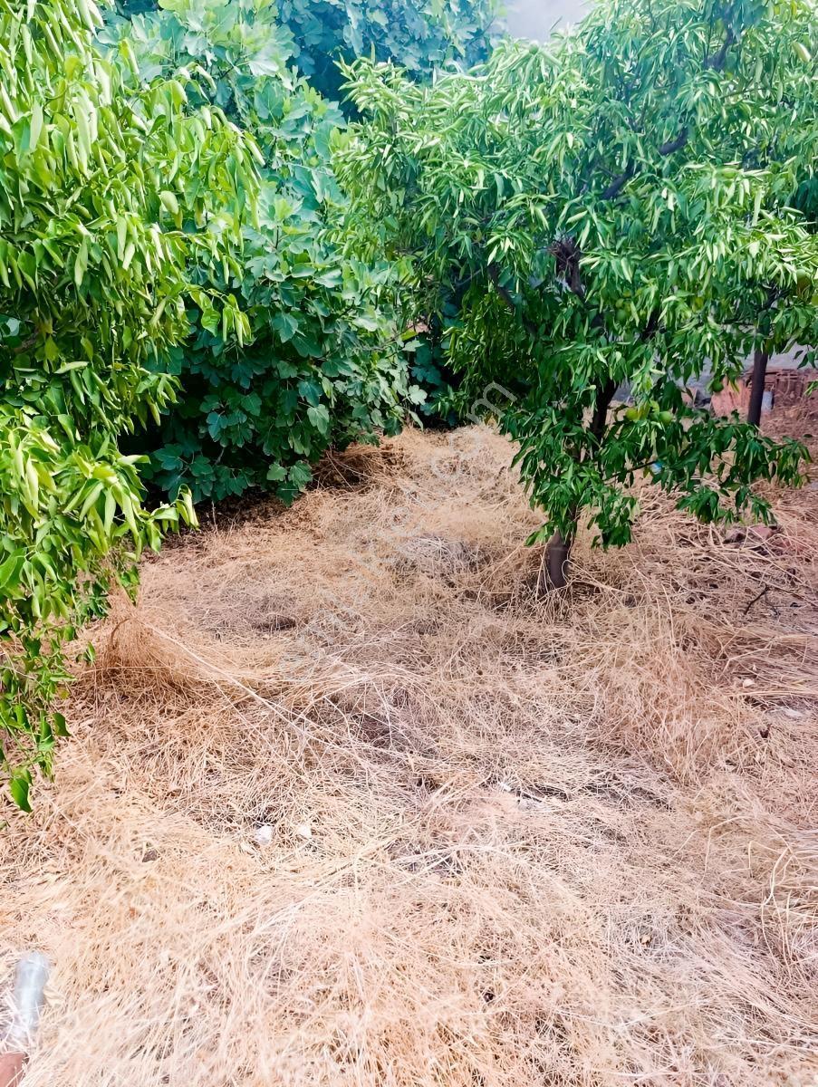 Aydoğdu Mah Yatırıma Uygun 250m Arsa — fotoğraf 6