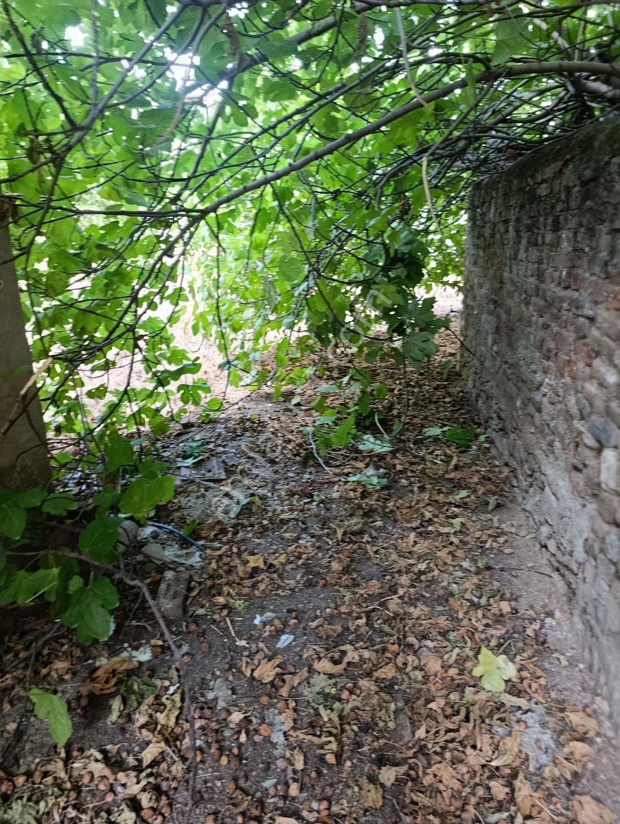 Aydoğdu Mah Yatırıma Uygun 250m Arsa — fotoğraf 9