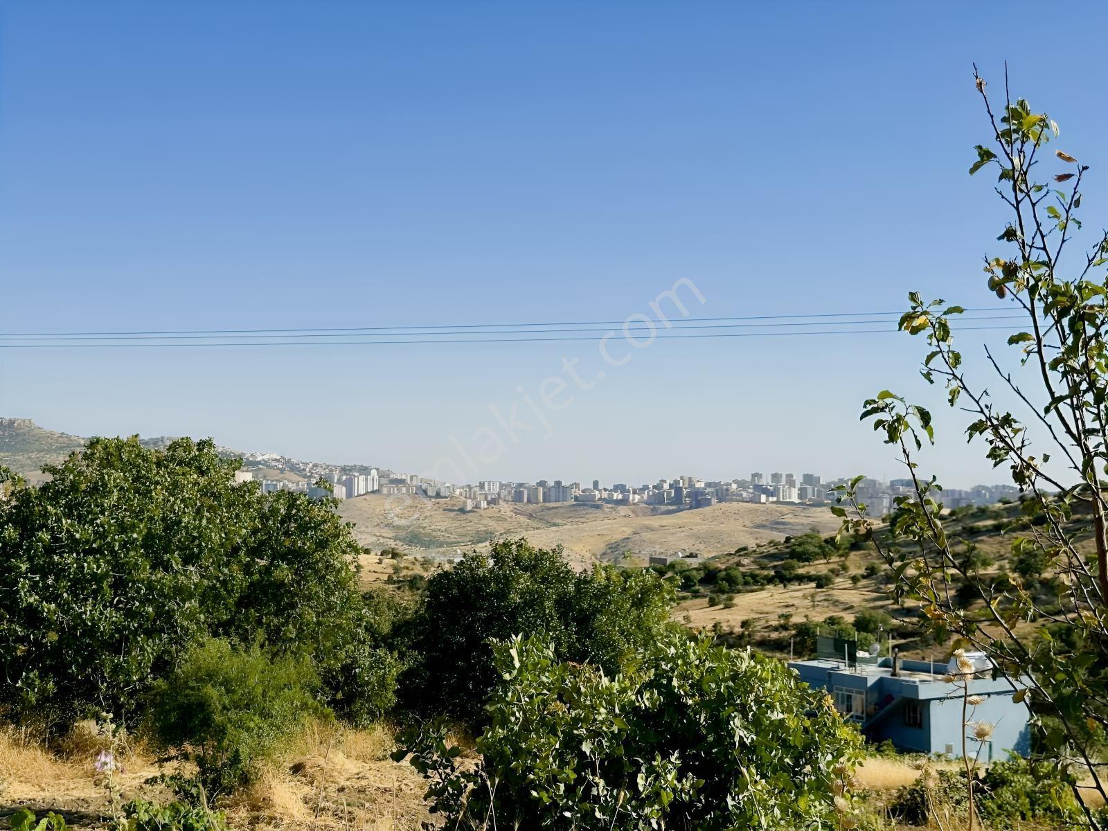 Murat Emlaktan Hipodrom Yani Mardin Manzaralı Tek Tapulu Bağ — fotoğraf 12
