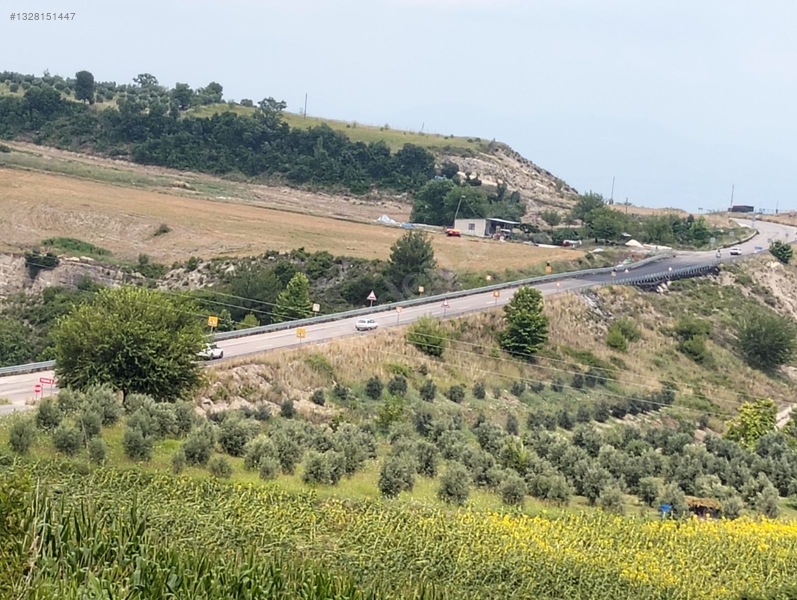 Gök Emlak'tan Emsalsiz Zeytinlik — fotoğraf 4