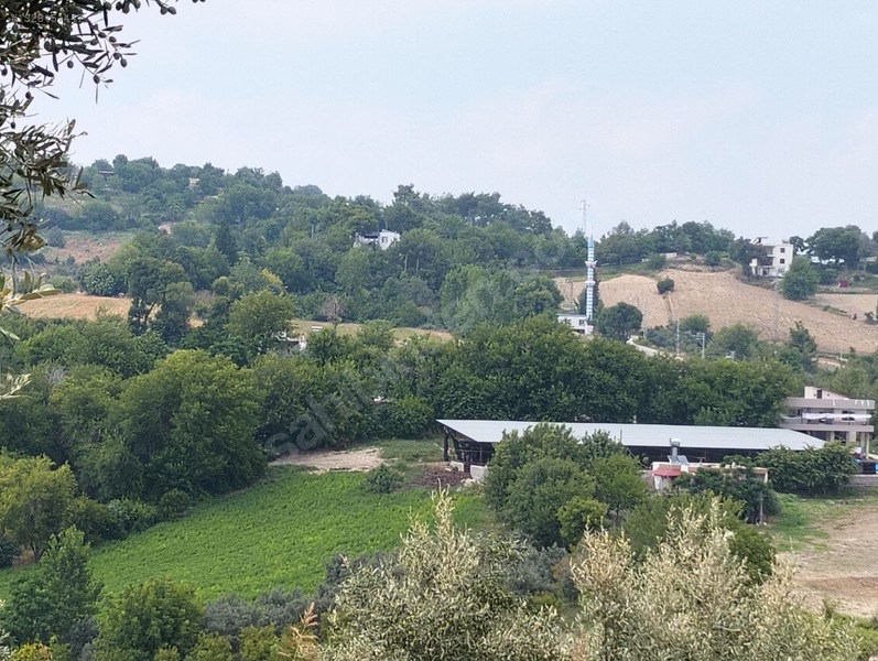 Gök Emlak'tan Emsalsiz Zeytinlik — fotoğraf 13