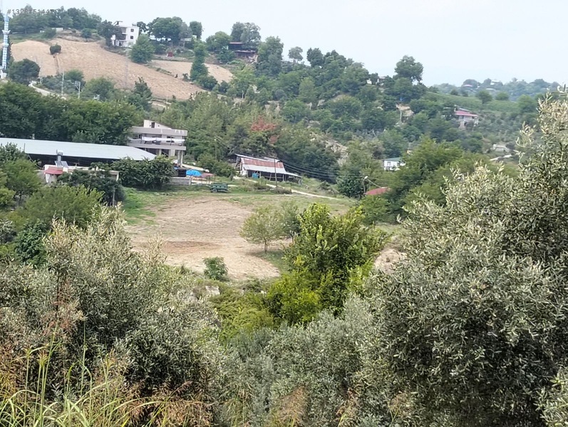 Gök Emlak'tan Emsalsiz Zeytinlik — fotoğraf 14