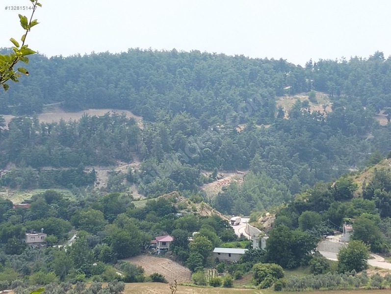Gök Emlak'tan Emsalsiz Zeytinlik — fotoğraf 20