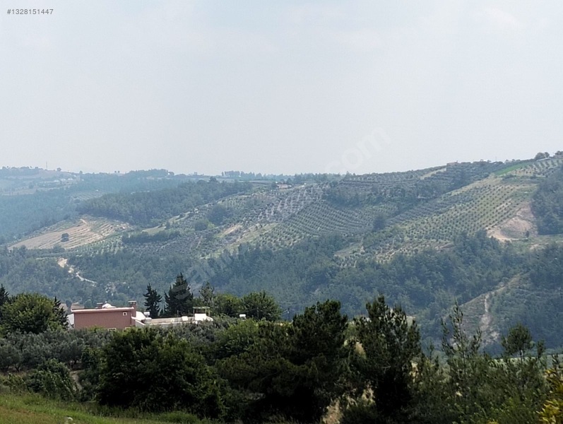 Gök Emlak'tan Emsalsiz Zeytinlik — fotoğraf 21