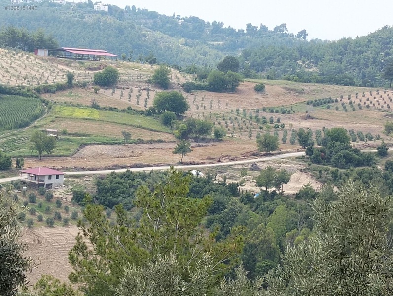 Gök Emlak'tan Emsalsiz Zeytinlik — fotoğraf 26